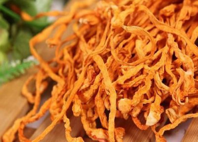 蛹虫草简介 蛹虫草和虫草花的区别