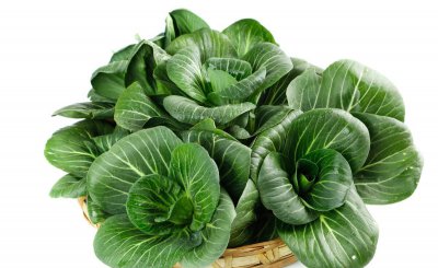 快菜和小白菜区别 快菜和小白菜虽长的一样但不同