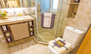 卫生间干区不装门可以吗 卫生间干区不装门能吗