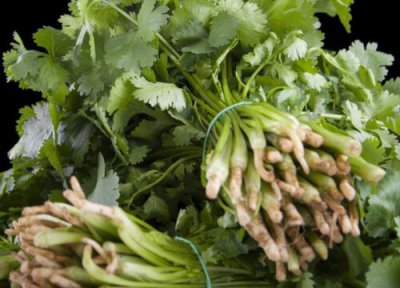 香菜大量保存最佳方法 6招长期保鲜储存香菜方法