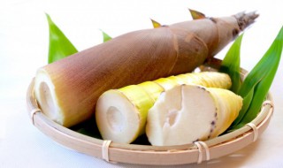 新鲜笋如何冷藏保存 新鲜笋冷藏保存方法分享