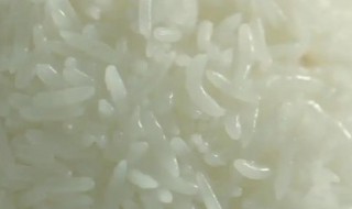 粳米产地在哪里 粳米的主要产地在什么地方