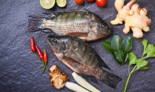 鲫鱼杀了怎么保鲜 鲫鱼放冰箱怎么保鲜