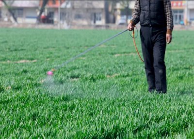 小麦返青肥用什么肥料好 小麦返青期追肥什么叶面肥好