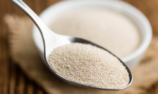 大包酵母开封了要怎么保存 大包酵母开封了的保存方法介绍