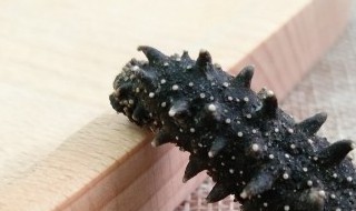 怎样烧海参好吃又营养 如何烧海参好吃又营养