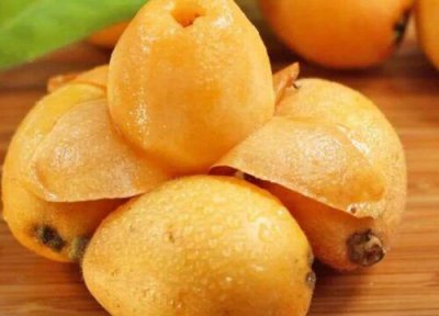 枇杷皮做肥料 枇杷皮可以做肥料吗