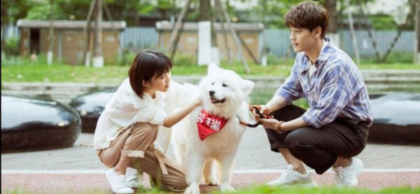 青春偶像剧有哪些好看的