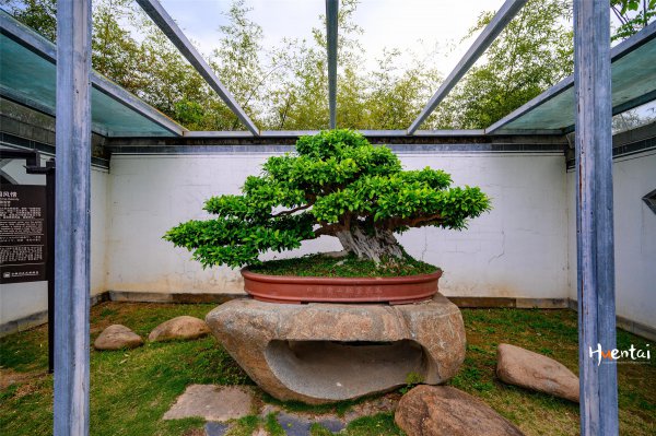 徽州牌坊群在哪里