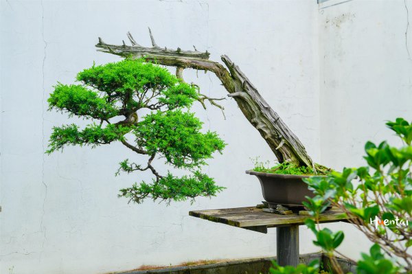 徽州牌坊群在哪里