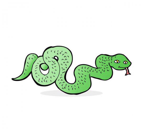 十二生肖赚钱能力排行榜