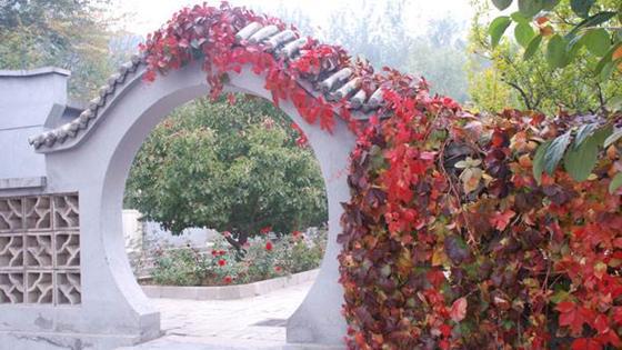 十三陵附近的墓地都有哪个