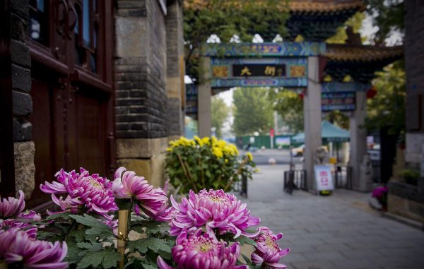 山东值得上的专科学校