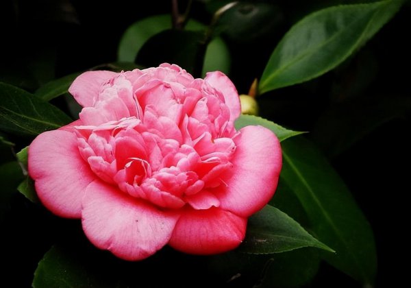 当一个女人突然变得安静了