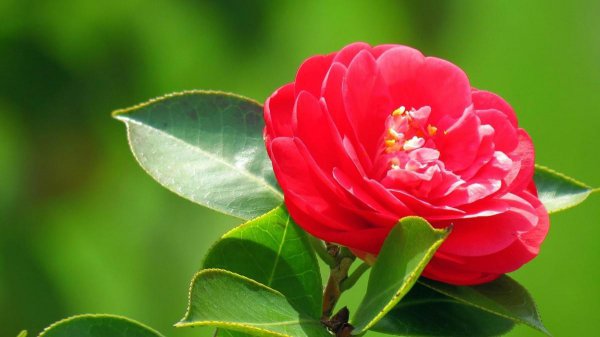 当一个女人突然变得安静了