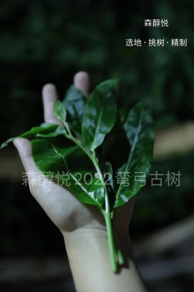 茶叶杀青什么意思