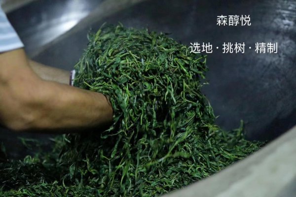 茶叶杀青什么意思