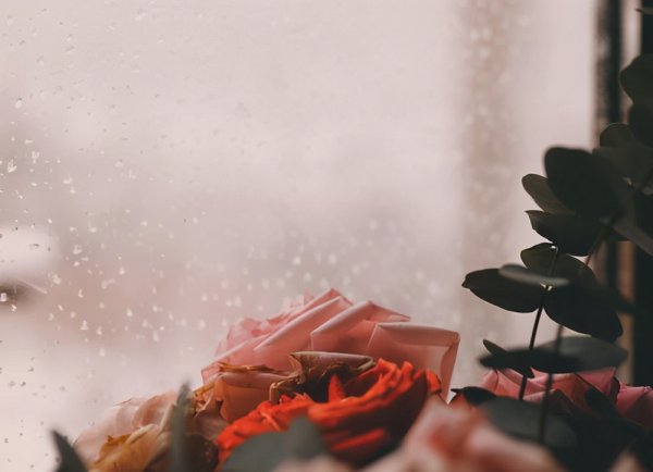 怎么能让女朋友越来越爱你