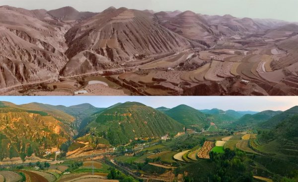 黄河水变清是真的吗