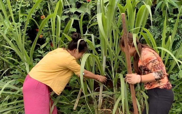 爱被蚊子咬是什么体质