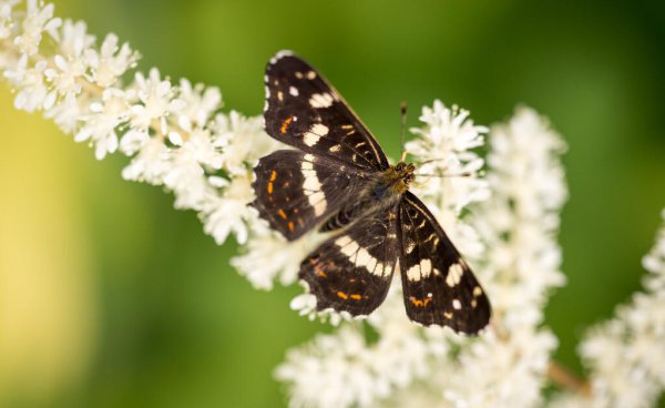 什么叫人生观包括哪些内容