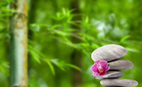 什么叫人生观包括哪些内容