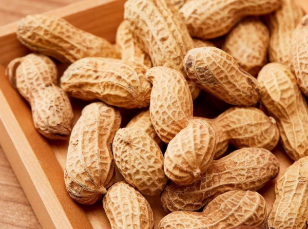 花生壳怎么发酵做营养土