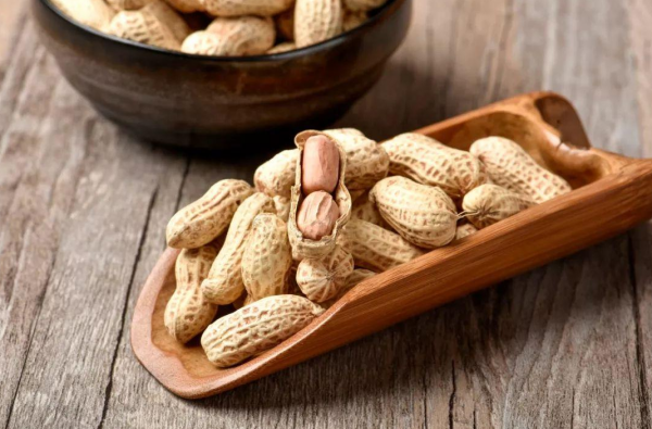 花生壳怎么发酵做营养土