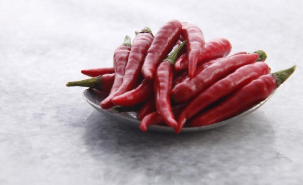 苍蝇在房间里乱飞怎么办