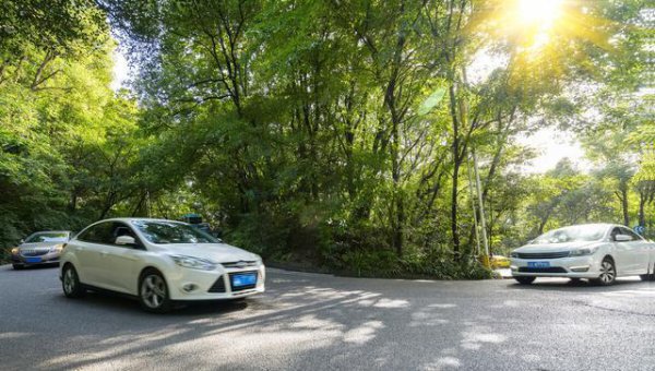 为什么老司机都不买白色车