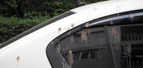 为什么老司机都不买白色车