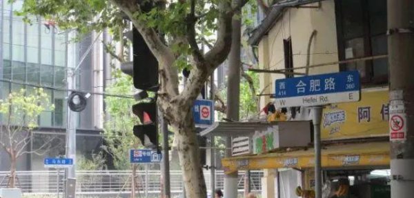 上海为什么没有安徽路