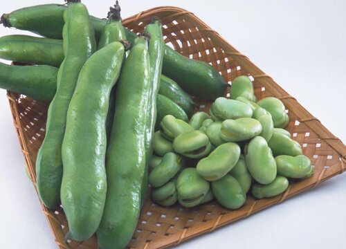 蚕豆怎么剥皮最快