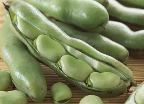 蚕豆怎么剥皮最快