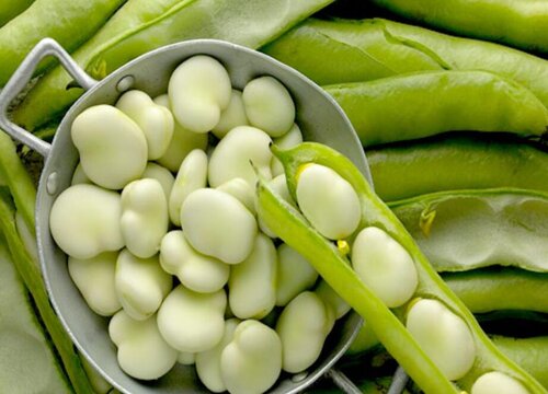 蚕豆怎么剥皮最快