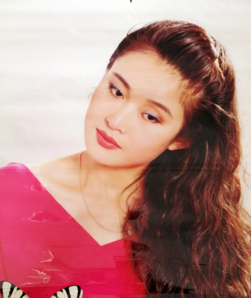 盖丽丽个人简历