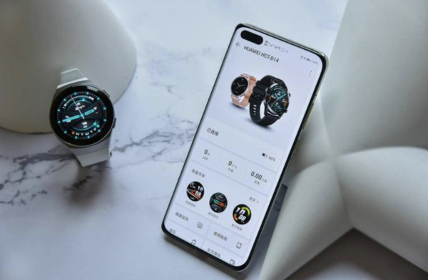 华为gt2e和gt2的区别