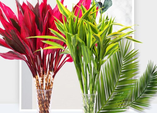 预祝考研成功送什么花