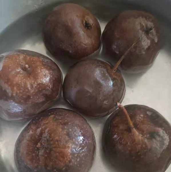 东北冻梨是什么梨做的