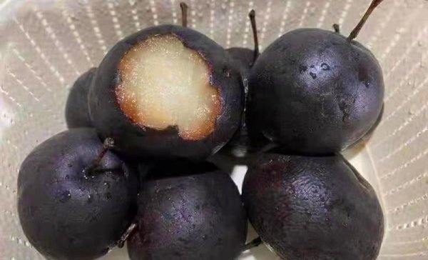 东北冻梨是什么梨做的