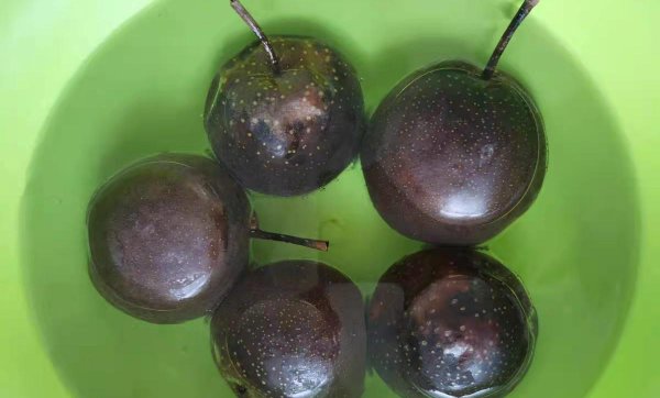 东北冻梨是什么梨做的