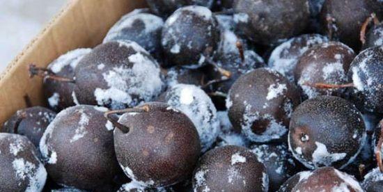 东北冻梨是什么梨做的