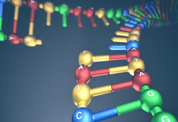 九大技术中国造不了的