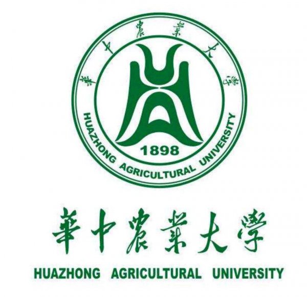 武汉有多少所大学