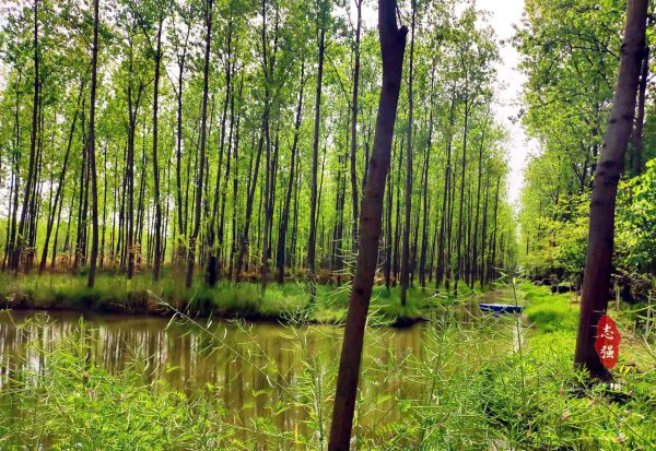 安徽合肥属于南方还是北方地区