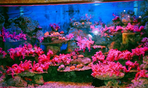 北海几月份去最佳时间