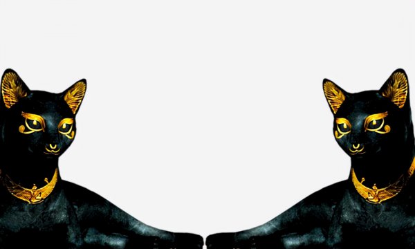 黑猫辟邪还是招邪