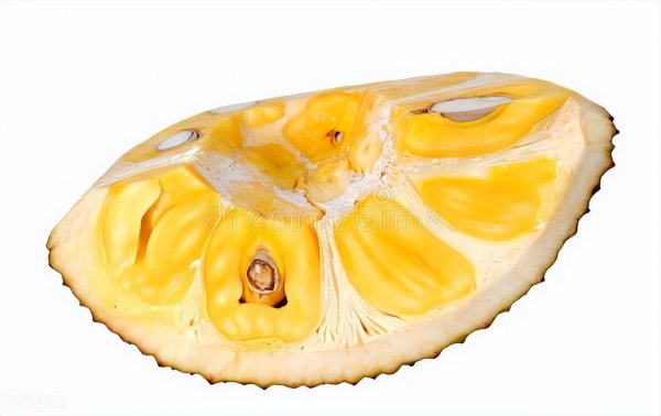 菠萝蜜什么程度算熟了