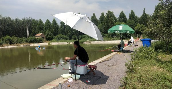 黑坑偷驴是什么意思