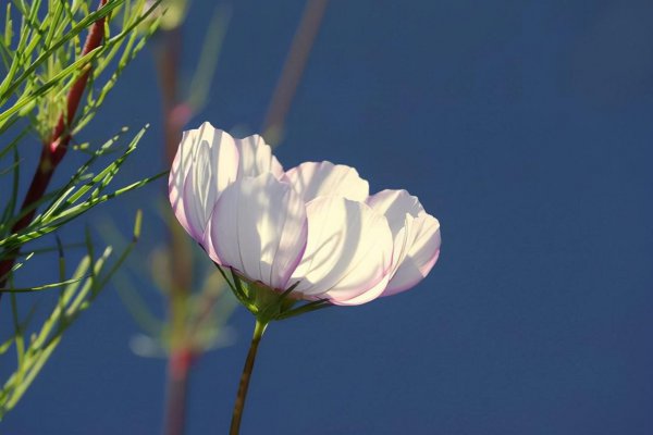 男人出轨说谎最准的表现